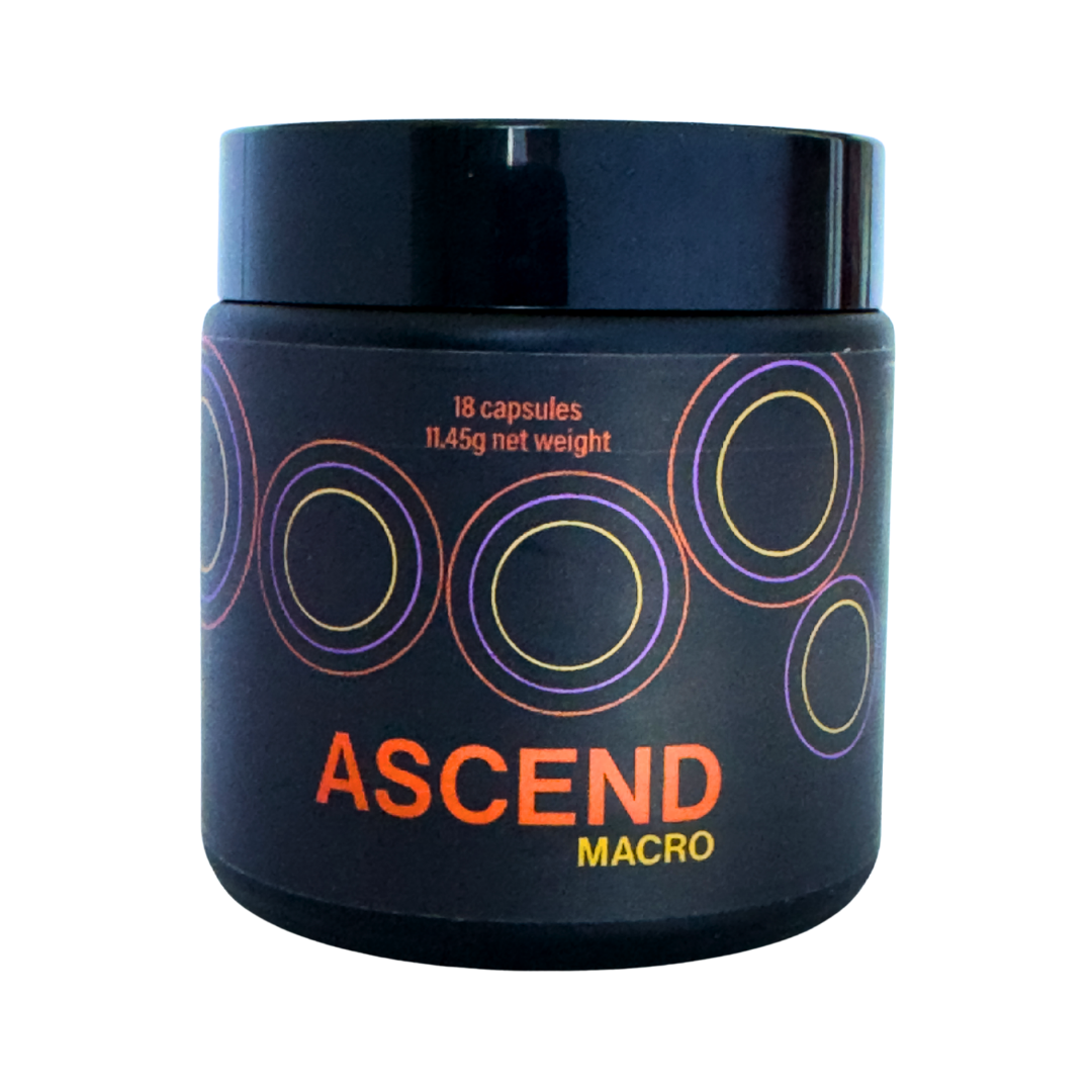 Ascend Macro jar